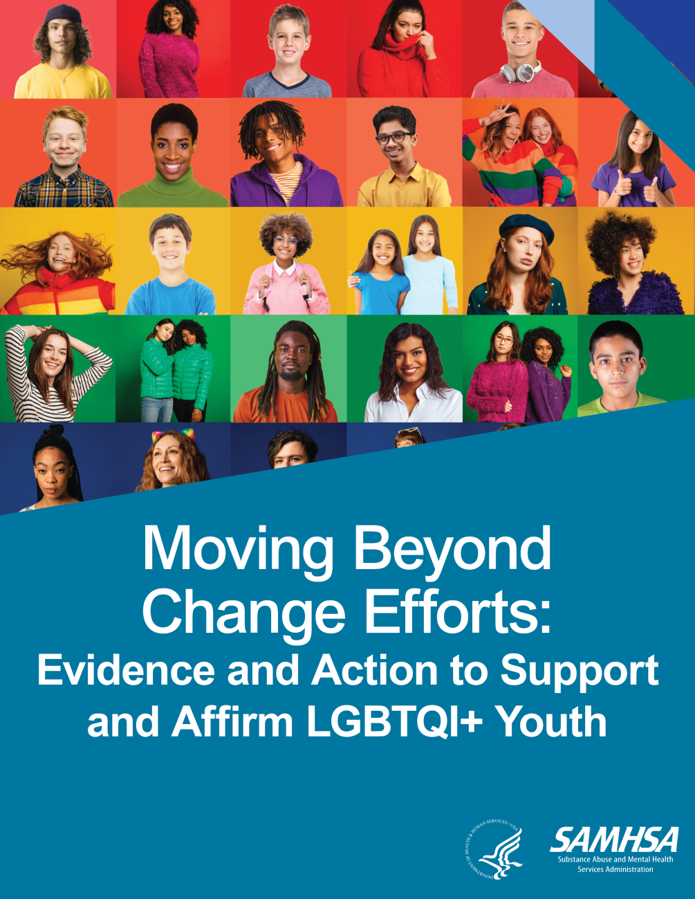 National Substance Use and Mental Health Services Survey (N-SUMHSS ...