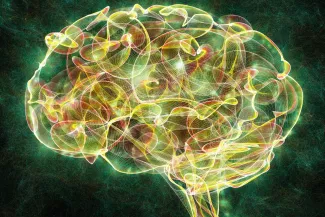 Mehau Kulyk/Science Photo Library/Getty Images