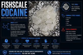Educational infographic about fishscale cocaine showing its appearance, common street names, short-term effects, and serious health risks.